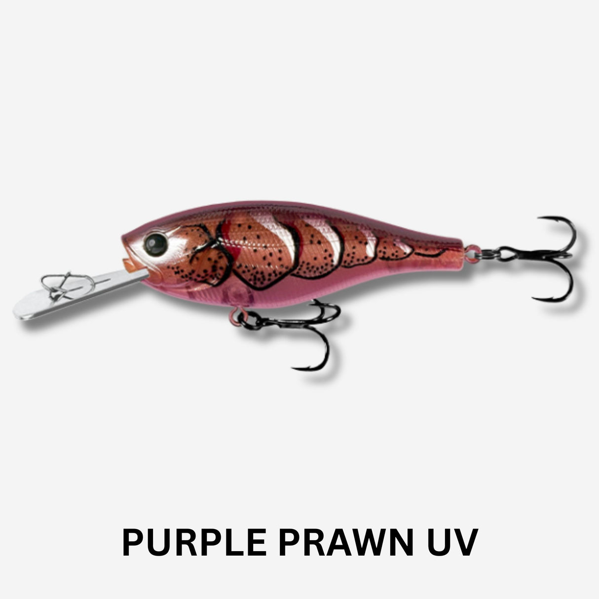 13 FISHING Jabber Shad Hardbody Lure