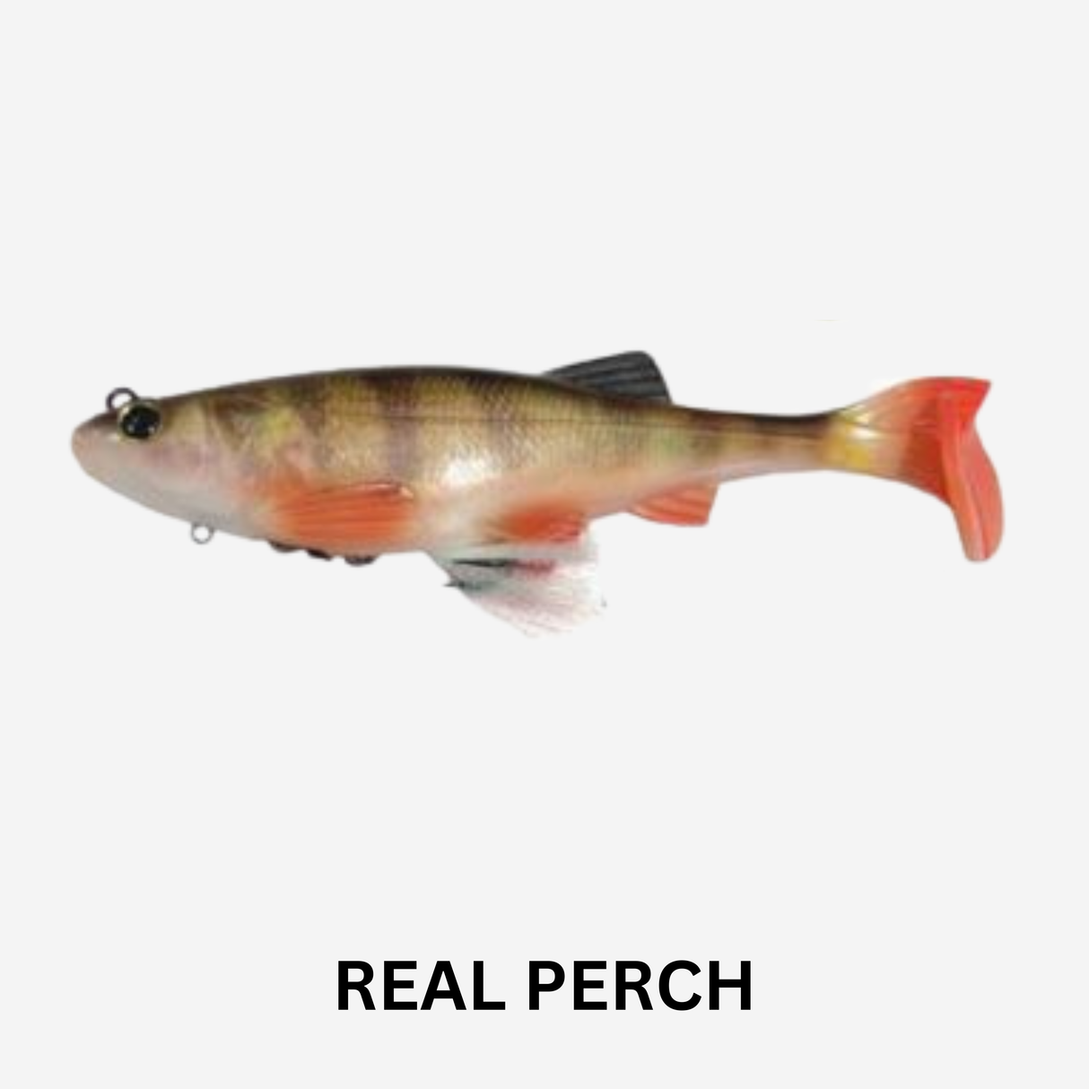 BIWAA KAPSIZ HD KAST 6" Soft Plastic Lure