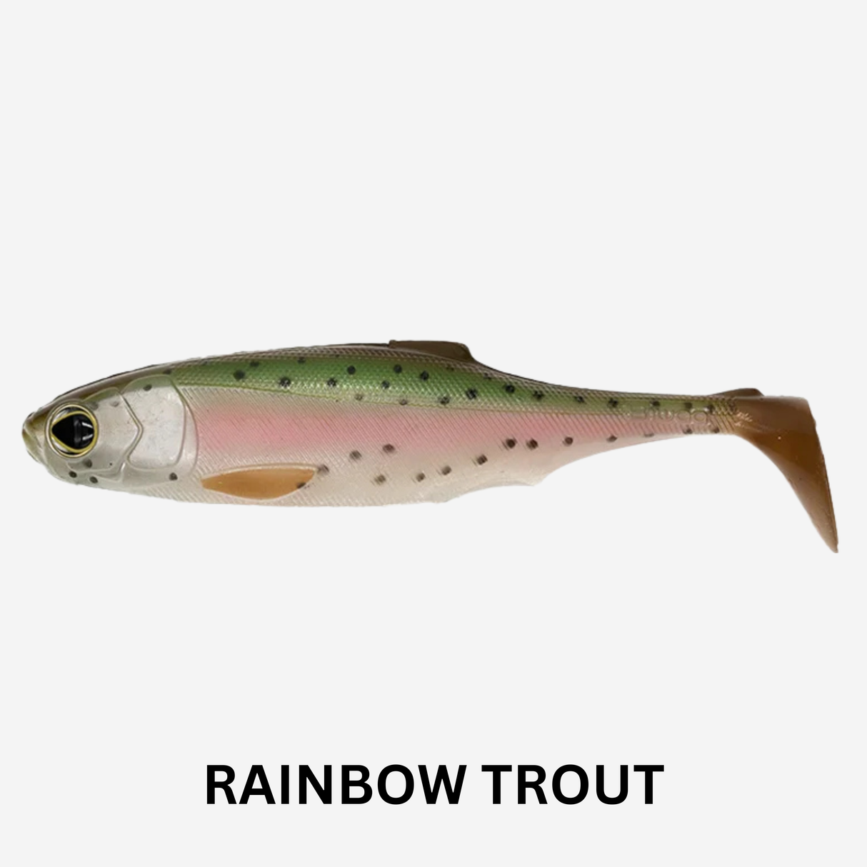 BIWAA SubMission 5" Shad Soft Plastic Lure - Pack of 3