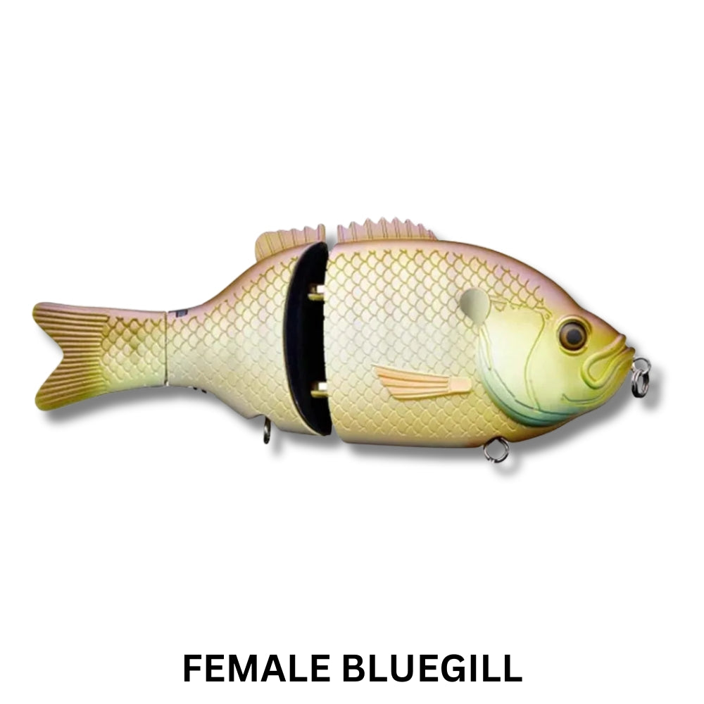 Baitsanity Explorer Gill 6 Glidebait Lure