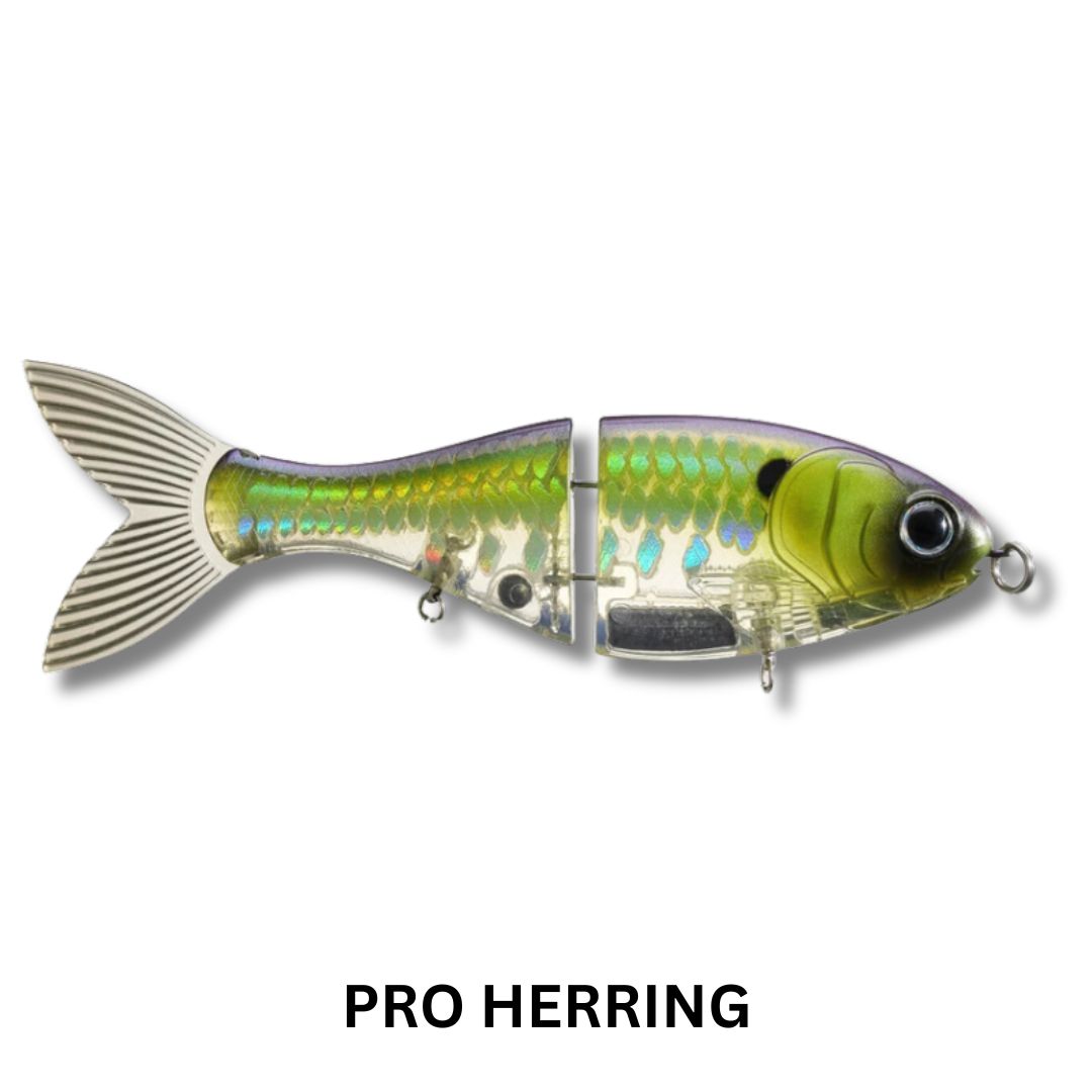 Bucca 6" Trick Shad Lure