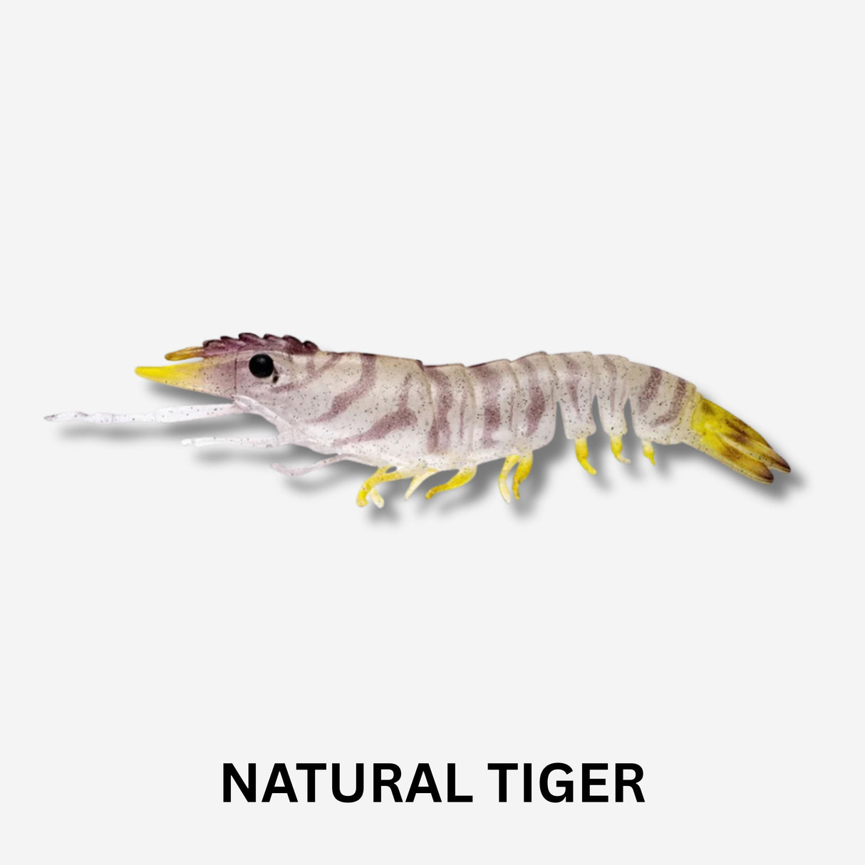 Nomad Live Ops Sumo Shrimp Unrigged 5" Lure 2pcs