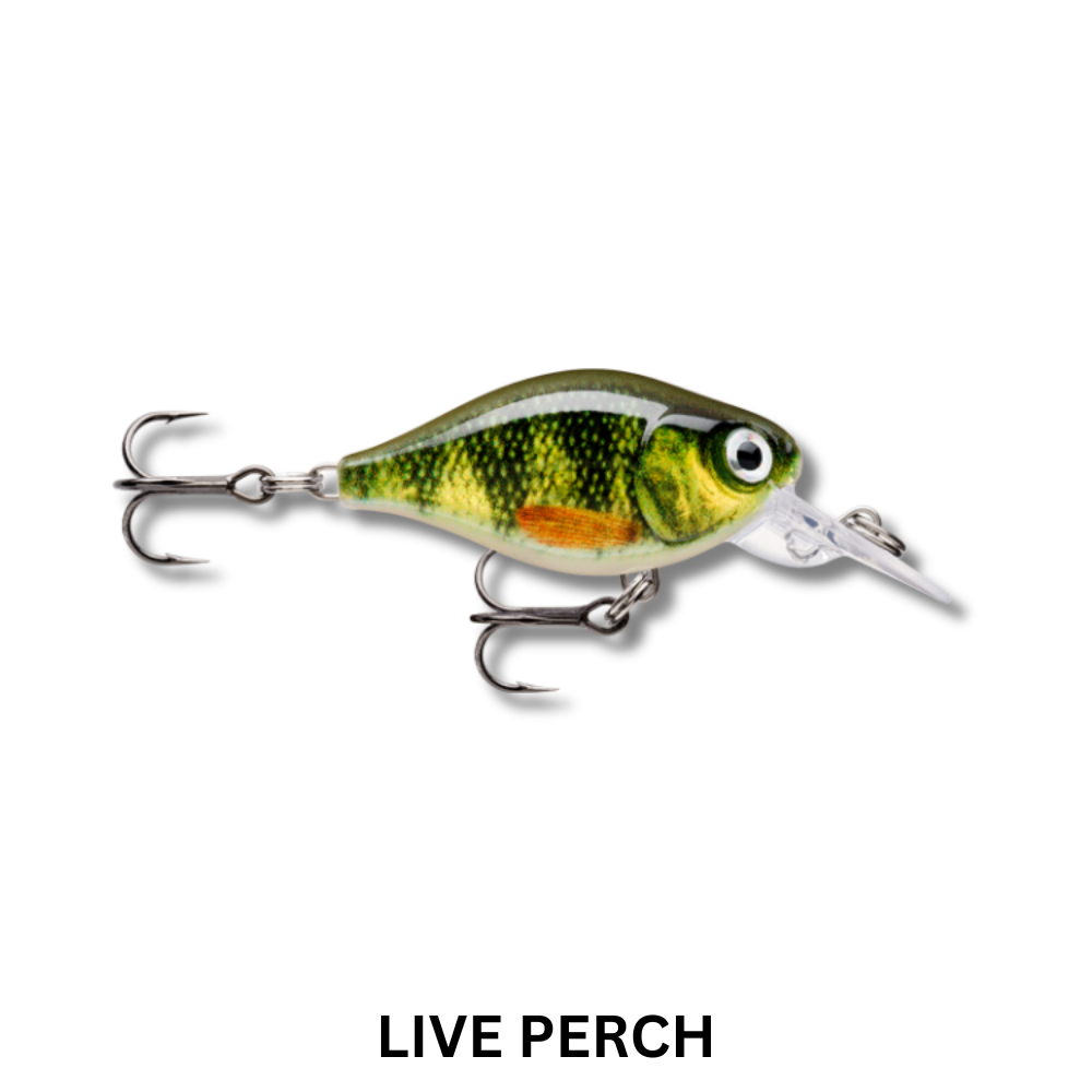 Rapala Finesse Crank Mid Runner Lure