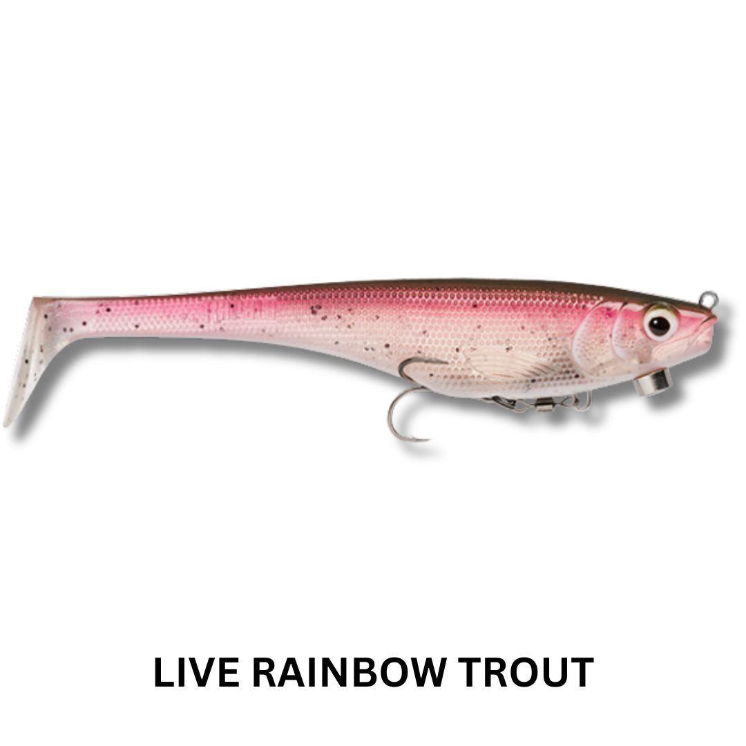 Rapala Soft Peto Pre-Rigged 18cm Lure