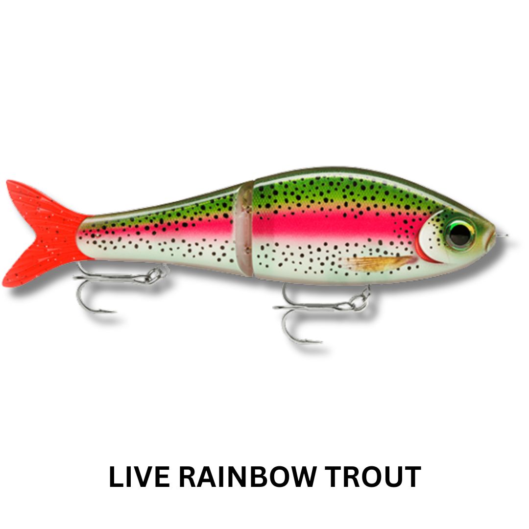 Rapala Super Shadow Rap Glide 11cm Lure