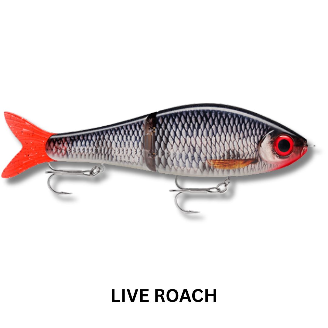 Rapala Super Shadow Rap Glide 11cm Lure