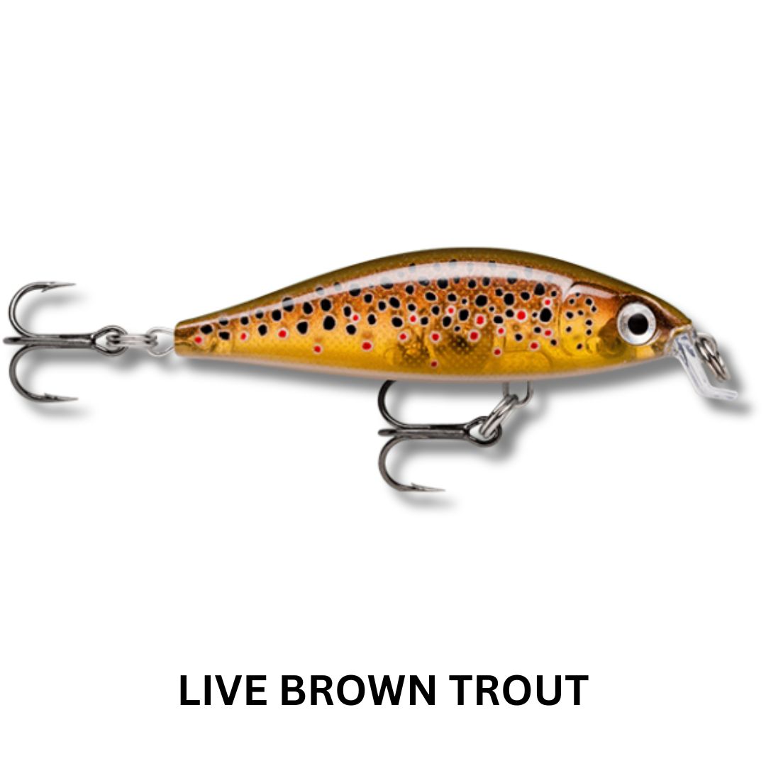 Rapala X-Light Minnow 5cm Lure