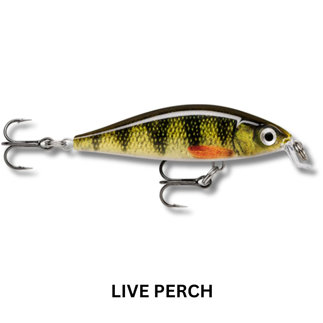 Rapala X-Light Minnow 5cm Lure