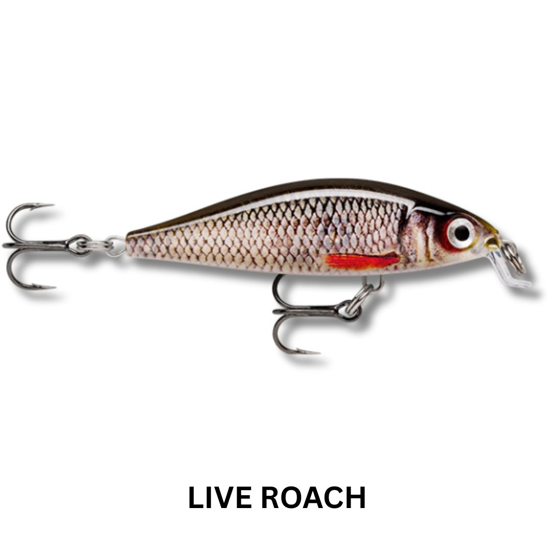 Rapala X-Light Minnow 5cm Lure
