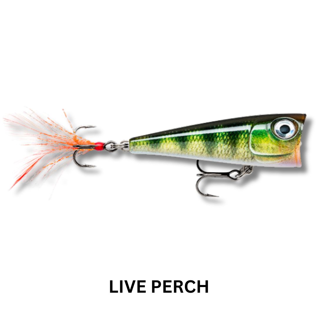 Rapala X-Light Pop 4cm Lure
