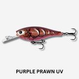 13 FISHING Jabber Shad Hardbody Lure