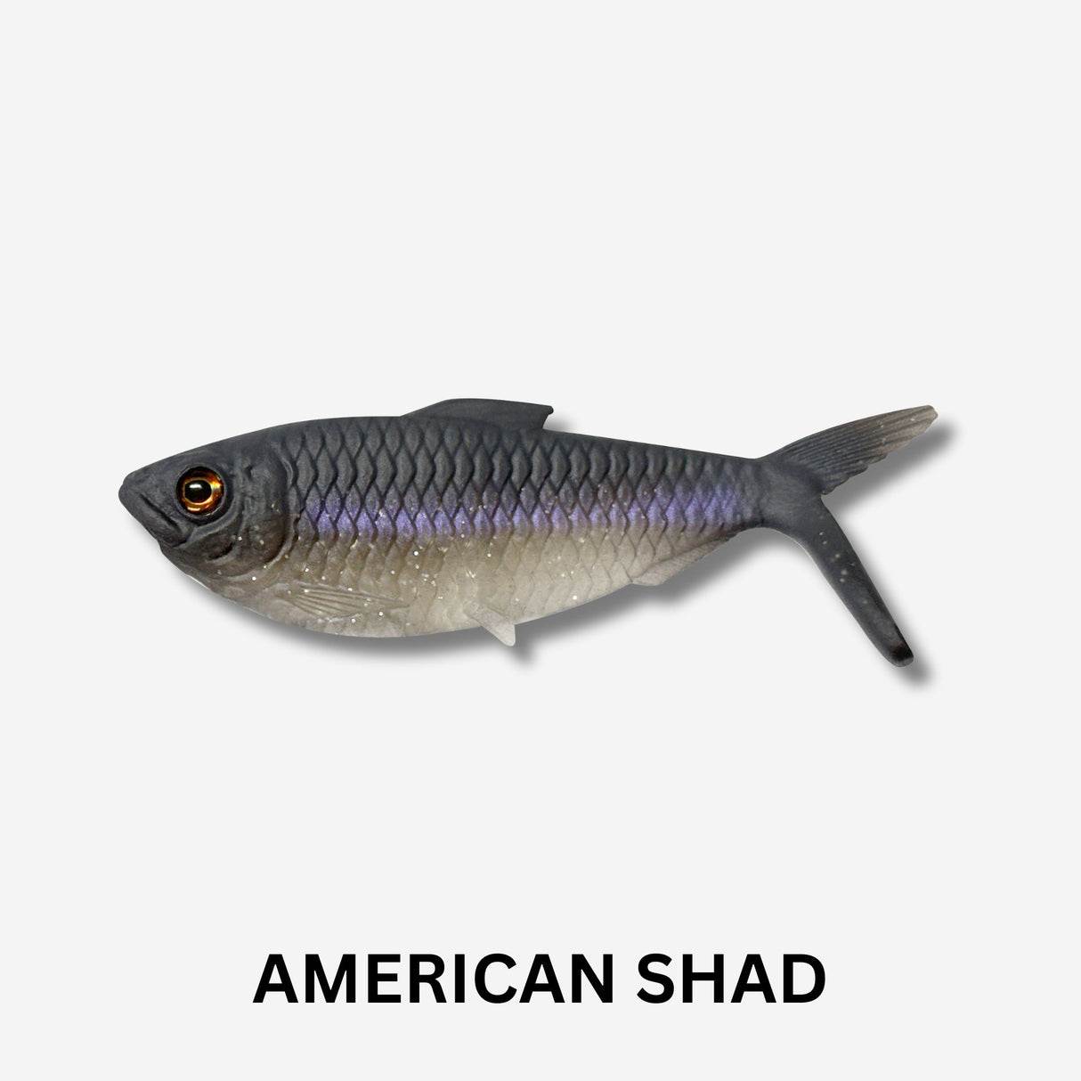 13 Fishing The Dine Swimbait Lure