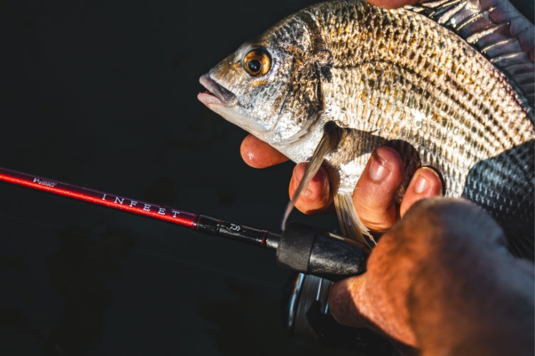 Daiwa 26 Infeet SK