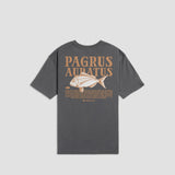 Desolve Auratus Tee - Ash