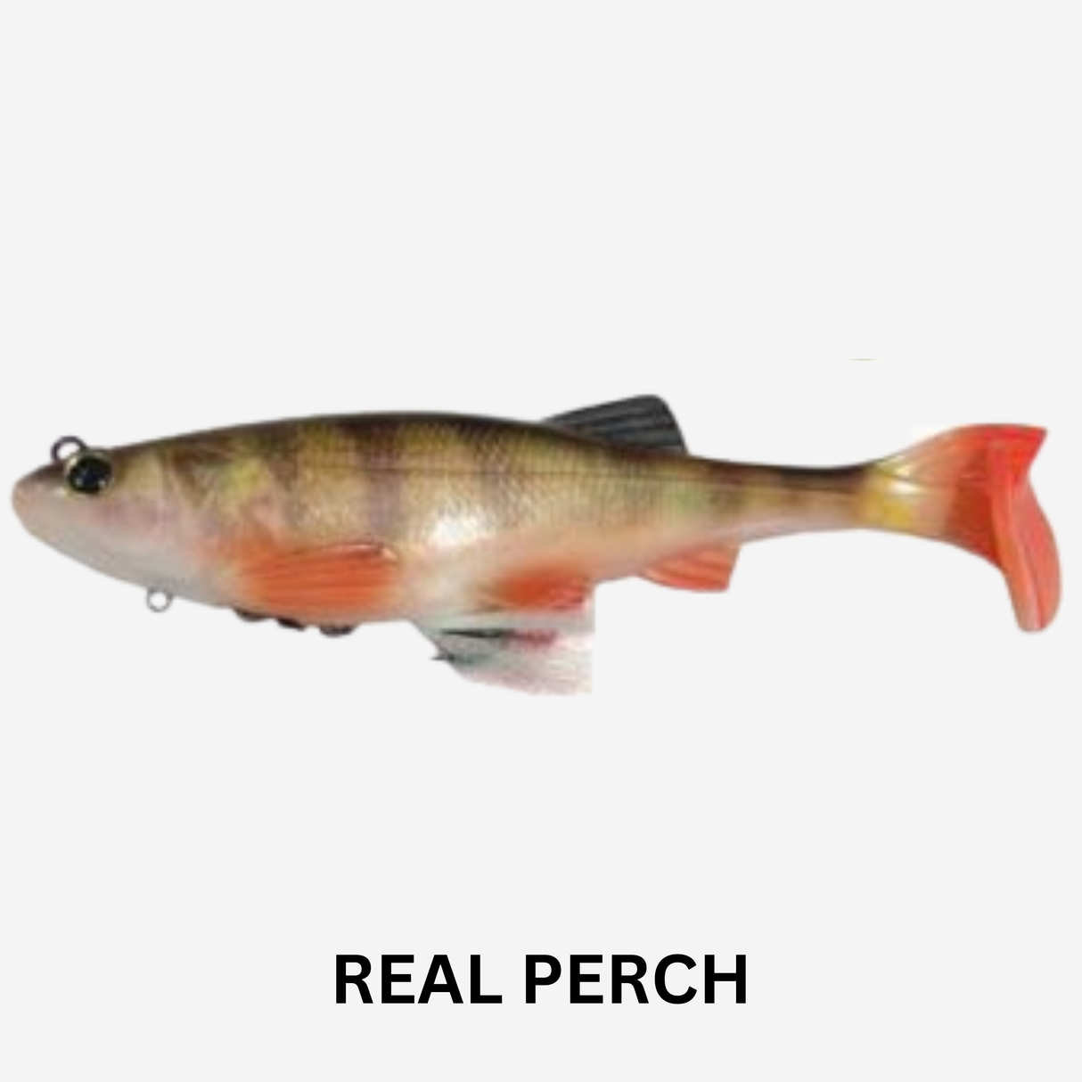 BIWAA KAPSIZ HD KAST 9" Soft Plastic Lure