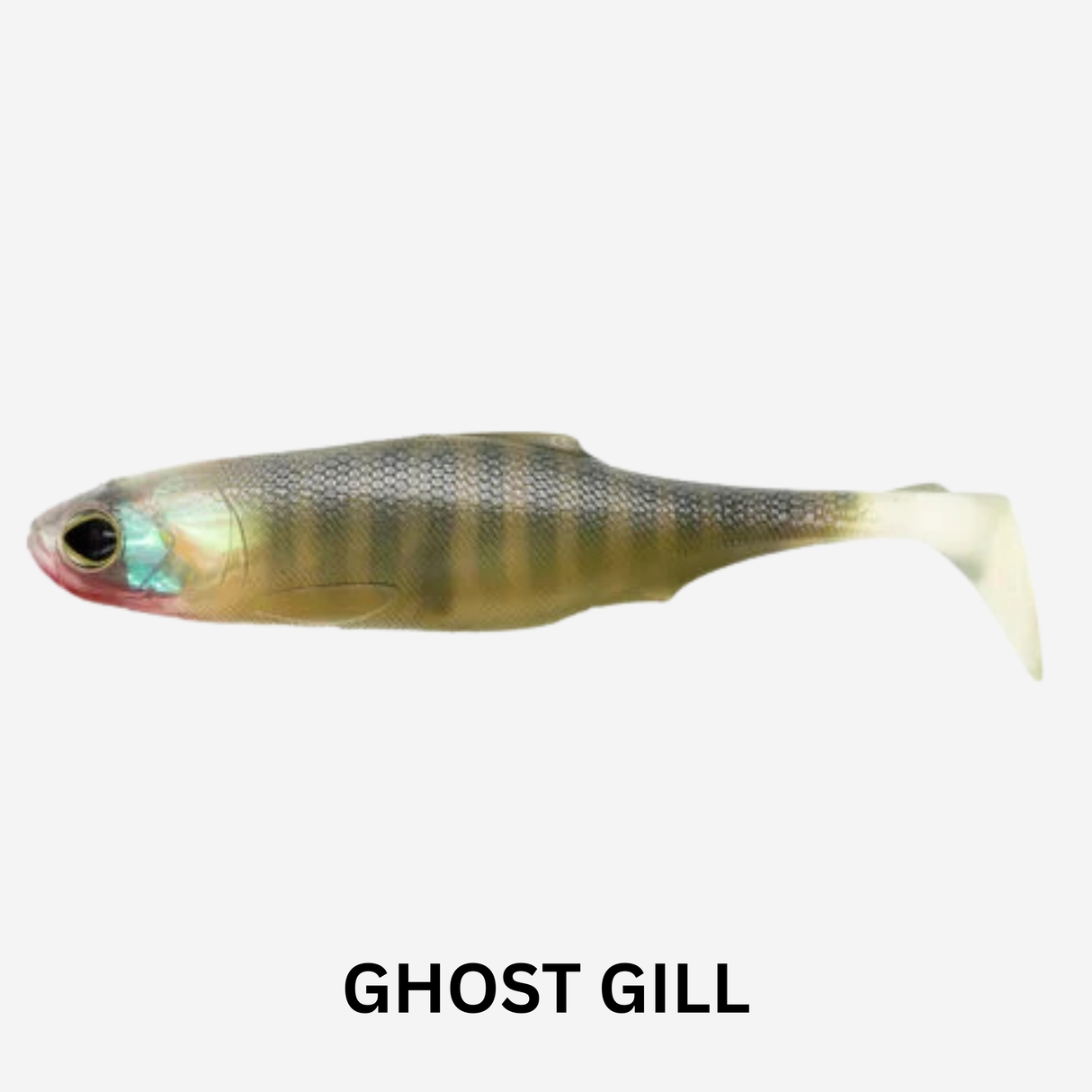 BIWAA SubMission 5" Shad Soft Plastic Lure  - Pack of 3