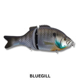 Baitsanity Explorer Gill 6 Glidebait Lure
