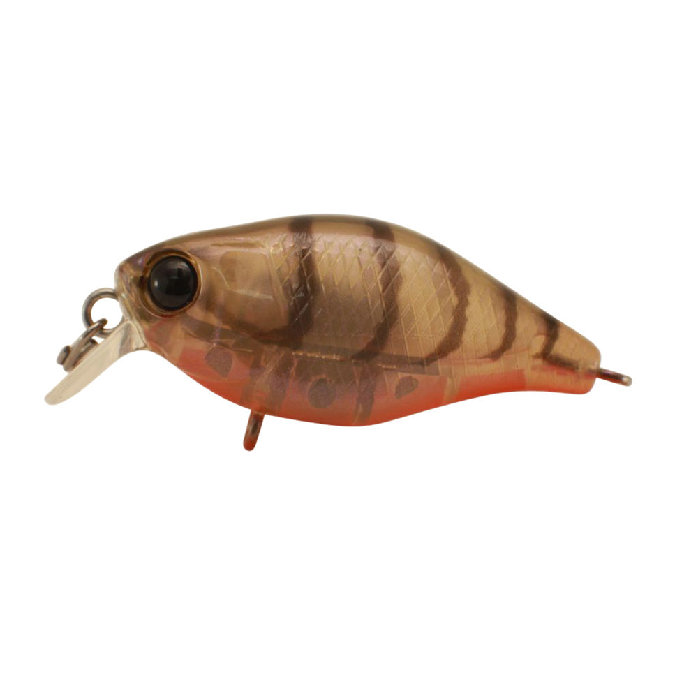 JACKALL Chubby 38 Shallow Lure
