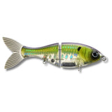 Bucca 6" Trick Shad Lure