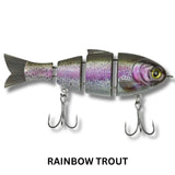 Bucca Baby Bull Shad 3.75" Lure