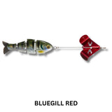 Bucca Buzzing Baby Bull Shad 3.75" Lure