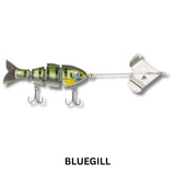 Bucca Buzzing Baby Bull Shad 3.75" Lure