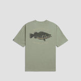 Desolve Cod Tee - Sage