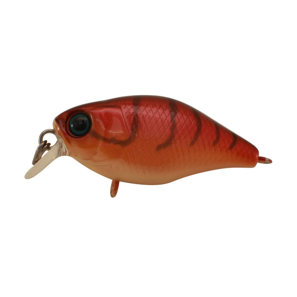 JACKALL Chubby 38 Shallow Lure