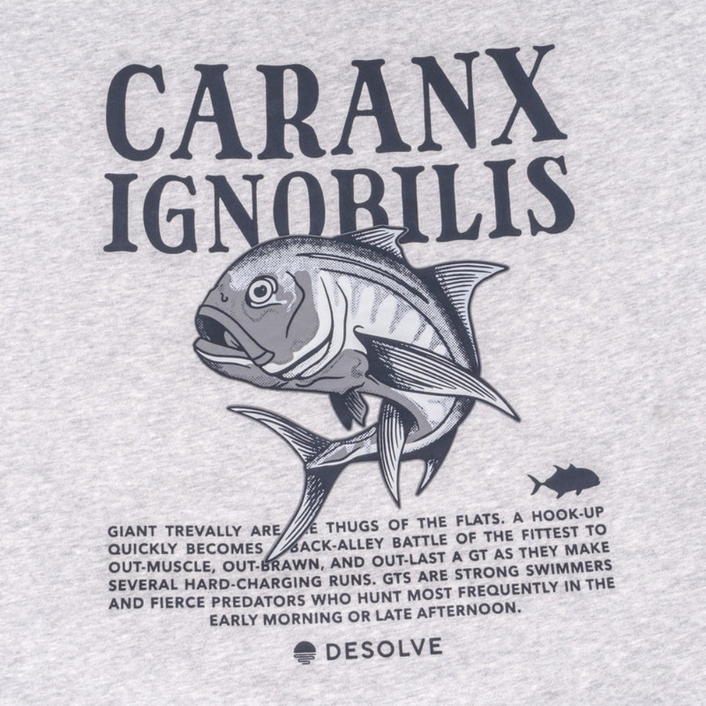 Desolve Ignobilis Hoodie Grey Marle