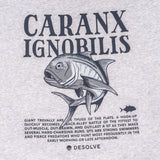 Desolve Ignobilis Hoodie Grey Marle