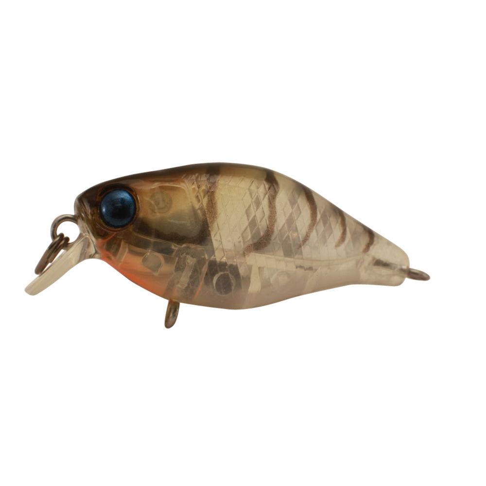 JACKALL Chubby 38 Shallow Lure