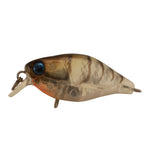 JACKALL Chubby 38 Shallow Lure