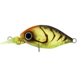 DAIWA INFEET ROLLIN' CRANK 32MR LURE