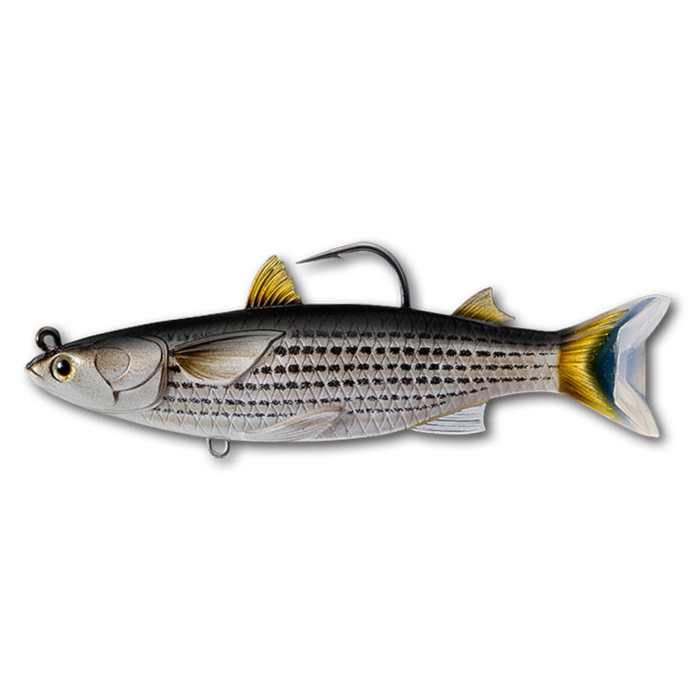 LIVE TARGET Mullet Swimbait 5.5" 141mm 1.5oz