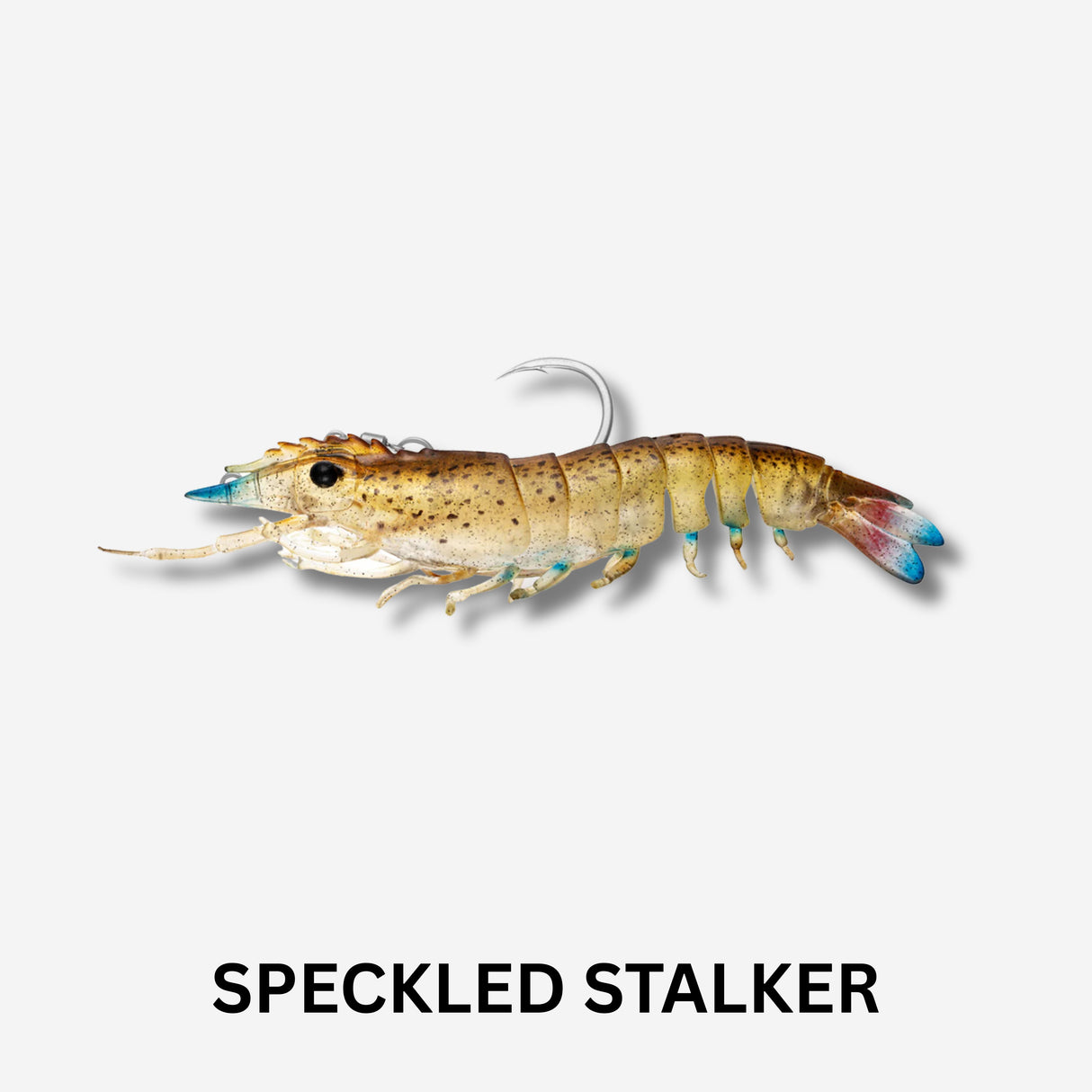 Nomad Live Ops Sumo Shrimp Pre Rigged 5" Lure