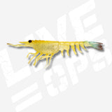 Nomad Live Ops Switcher Shrimp 5" Soft Plastic Lure