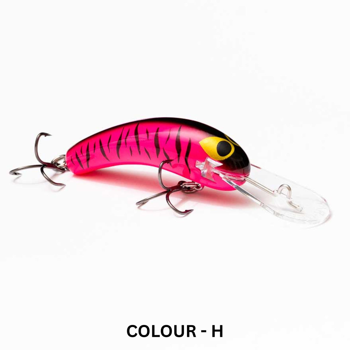 OAR-GEE Shad Lure