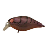 JACKALL Chubby 38 Shallow Lure