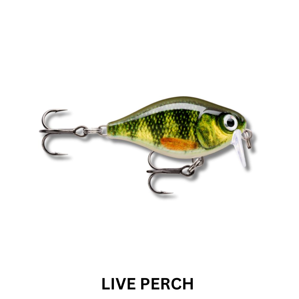 Rapala Finesse Crank Shallow Runner Lure