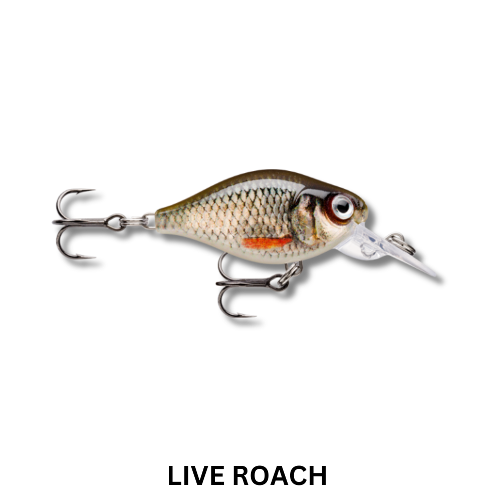 Rapala Finesse Crank Mid Runner Lure