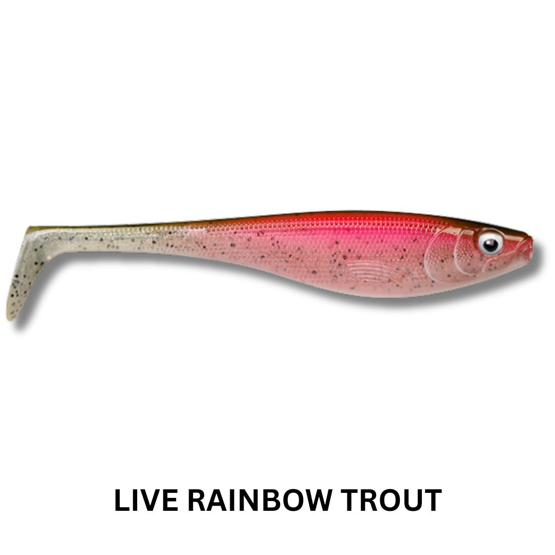 Rapala Soft Peto 16cm Lure