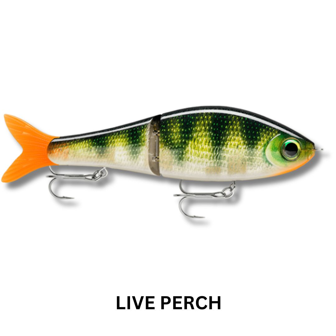 Rapala Super Shadow Rap Glide 11cm Lure