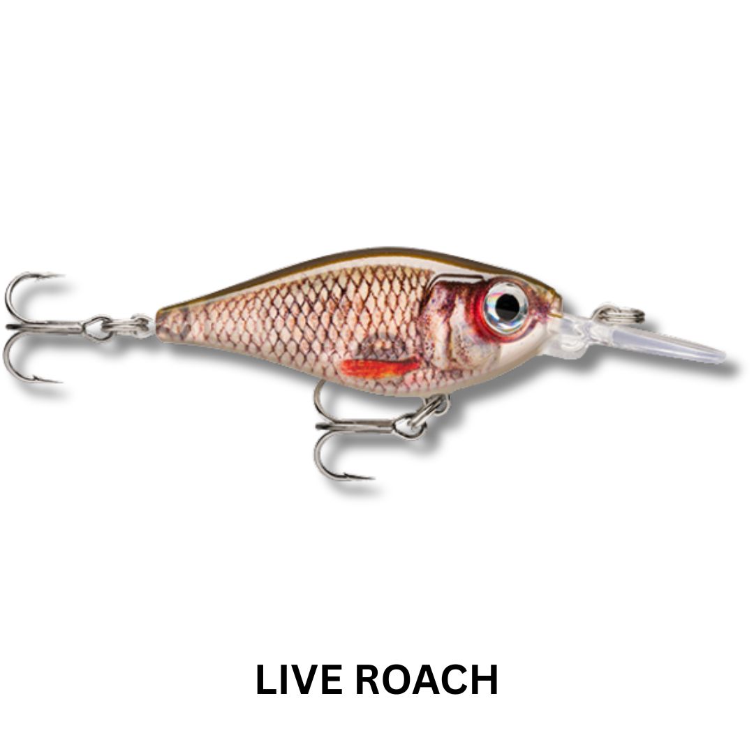 Rapala X-Light Shad 4cm Lure