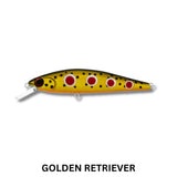 DAIWA SilverCreek Dr. Minnow II 70F
