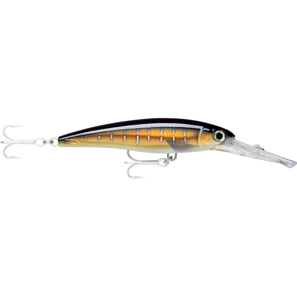 Rapala X-Rap Magnum 40 Lure