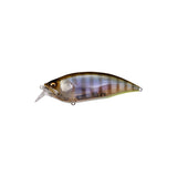 Mega Bass Big-M 2.0 Lure